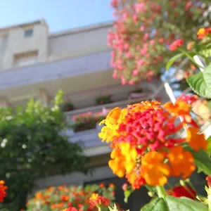 https://pejic-apartments.pula-hotels.org